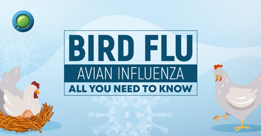 Bird Flu In US